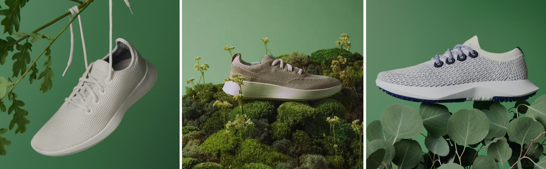 Allbirds Lifestyle Product Photography Ideas